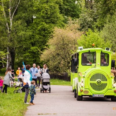 rodzinny-piknik-firmowy-alstom-26